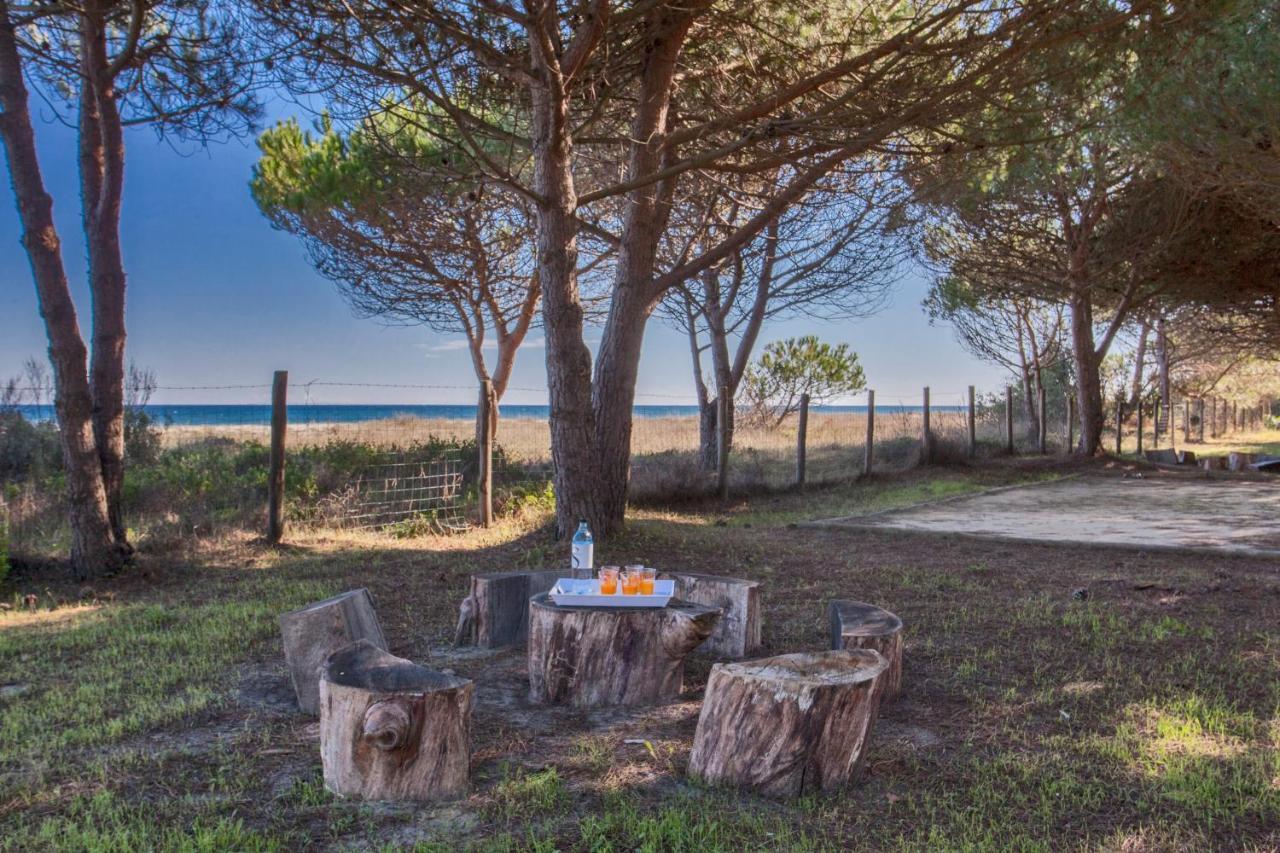 Maisons Bord De Mer- Marine De Sorbo - Gites 3 Epis Pinarellu 外观 照片