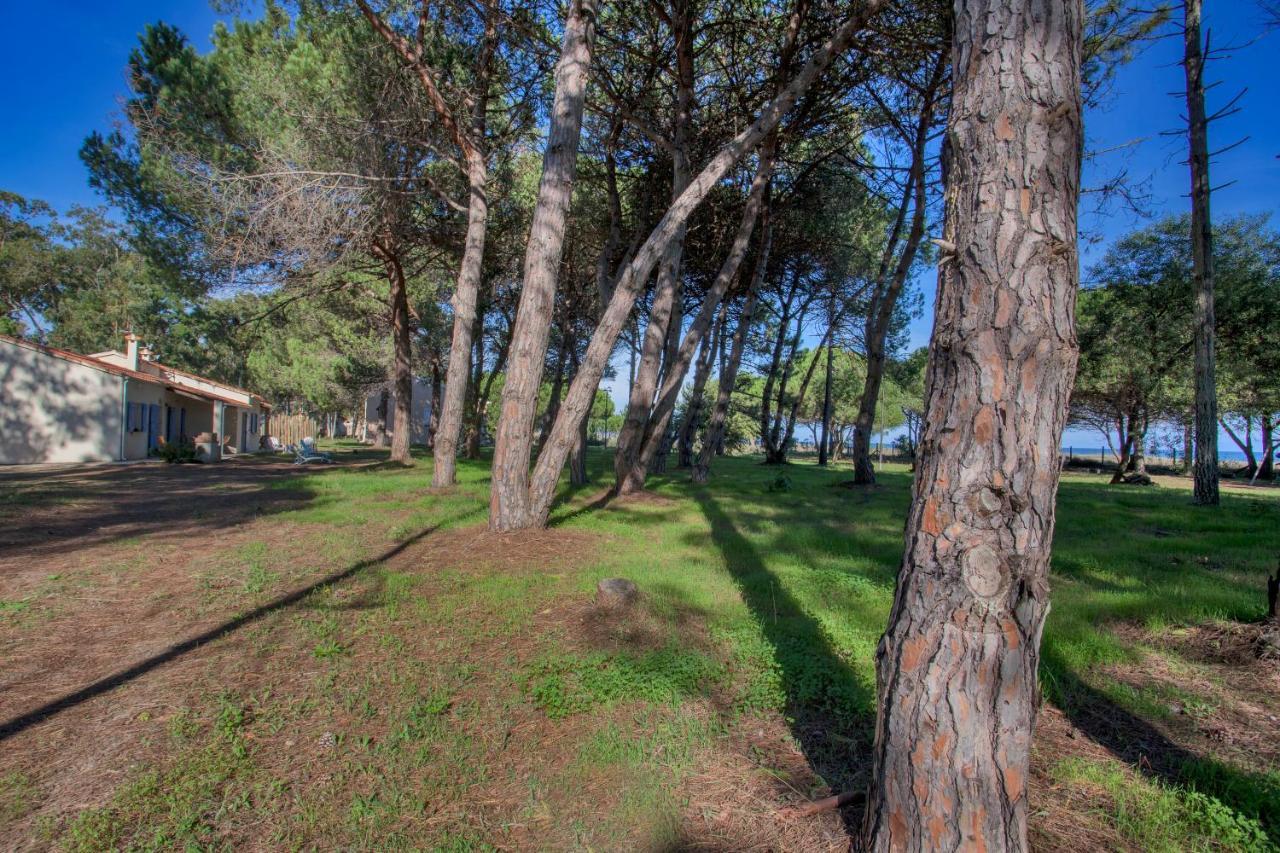 Maisons Bord De Mer- Marine De Sorbo - Gites 3 Epis Pinarellu 外观 照片