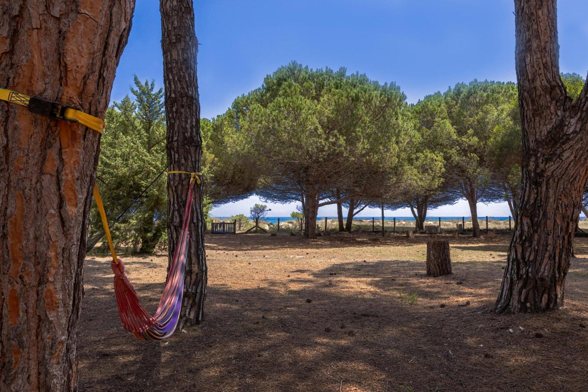 Maisons Bord De Mer- Marine De Sorbo - Gites 3 Epis Pinarellu 外观 照片