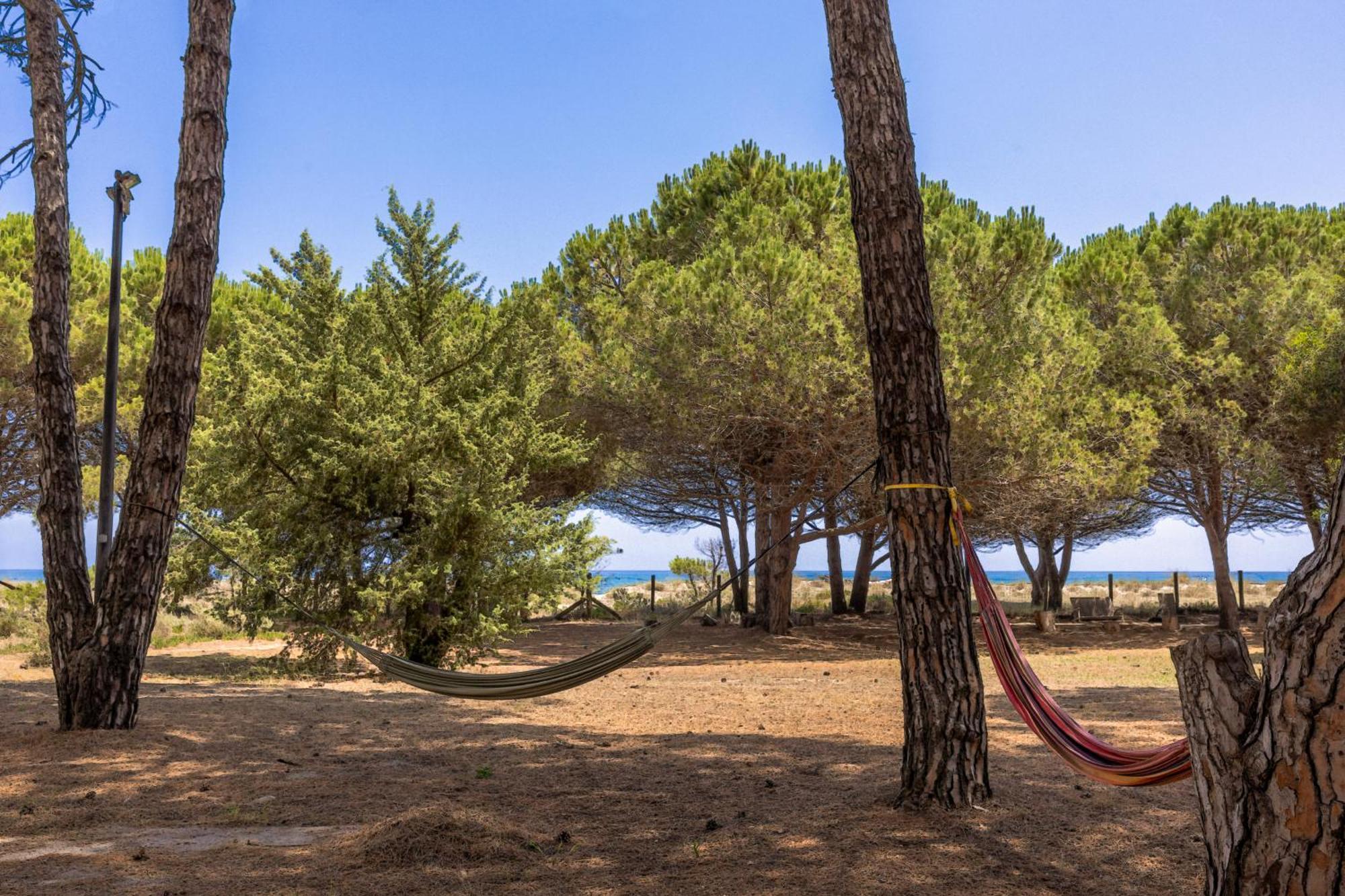 Maisons Bord De Mer- Marine De Sorbo - Gites 3 Epis Pinarellu 外观 照片